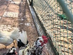 -南京金牛湖风景区