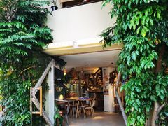 -野草莓自由市场