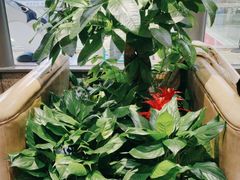 -荷花亭·湖北融合菜(十堰武商MALL店)