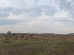 -塞罕坝国家级自然保护区