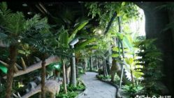 -恐龙探索乐园(磁器口店)