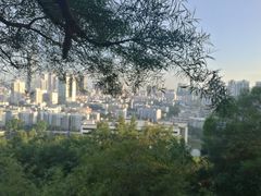-乌山风景区
