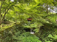 -三千院