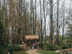 -林间山庄