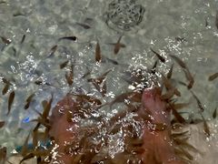 -果裹水汇(帅府店)