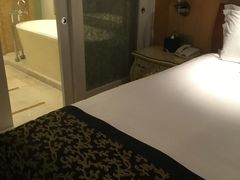 -深圳东部华侨城茵特拉根酒店