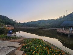 -神光山国家森林公园