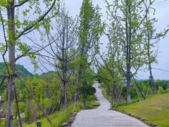 -三岔湖景区