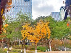 -星巴克(古美路店)