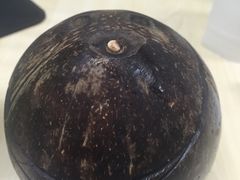 -志龙皇冠吃货椰子铺