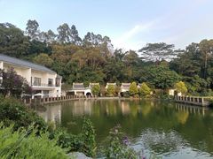 -谷丰健康凤贤居酒家