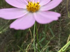 -白鹭湾湿地公园