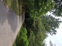 -春兰国宾馆(凤城河风景区老街店)