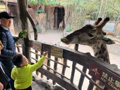 -长鹿旅游休博园