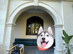 -Big House当代艺术中心