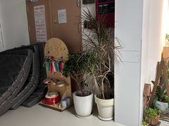 -深圳市第一幼儿园