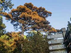 -香山公园
