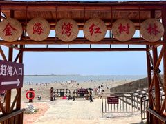 -北海金海湾红树林生态旅游区