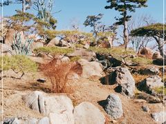 -罗红摄影艺术馆