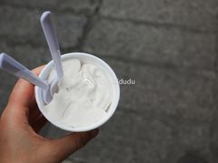 -洪馨椰子