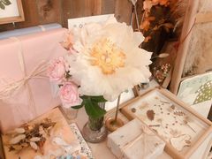 -知物癖(牛王庙店)