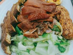 -瑞霖·隆江猪脚饭