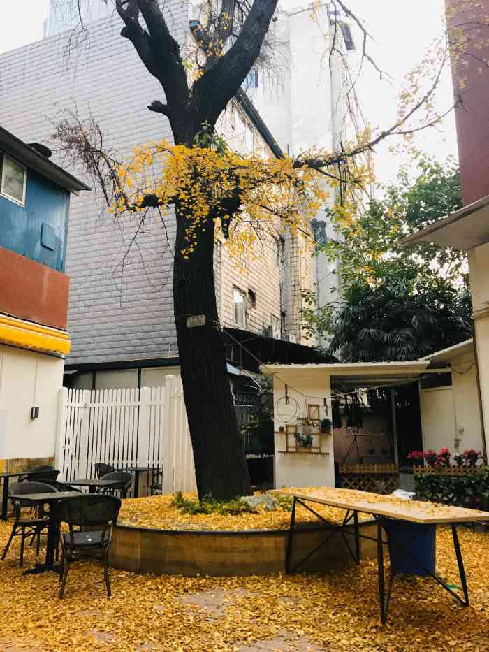 t-bon(青羊旗舰店)-"这家店是刚刚装修好的,非常小清新,适合朋.