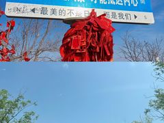 -抱犊崮国家森林公园