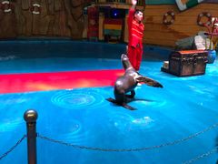 -烟台海昌鲸鲨海洋公园