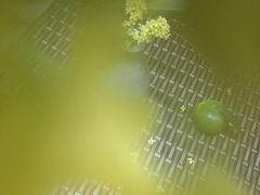 -宝岩生态观光园