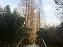 -同里国家湿地公园