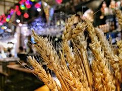 -巴伐利亚啤酒坊(意式风情街店)