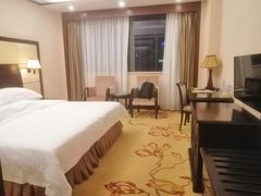 -维也纳国际酒店(深圳新洲店)