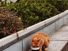 -UNIUNI(凯瑟琳广场店)