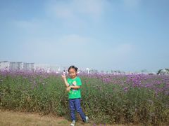 -南通鲜花小镇