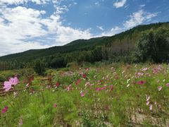 -塞罕坝国家级自然保护区