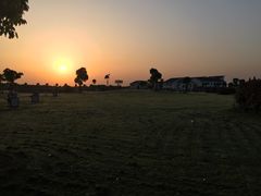 -明珠湖天鹅苑·农家菜馆