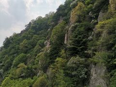 -王顺山国家森林公园