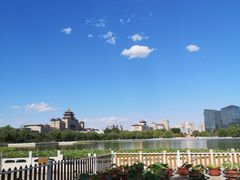 -莲花池公园