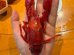 -琥珀老六龙虾(四里河店)