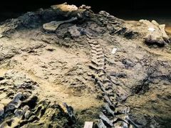 -世界恐龙谷景区