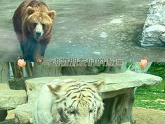 -北京野生动物园