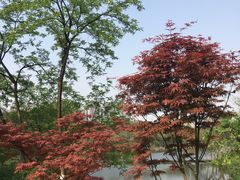 -重庆彩云湖湿地公园