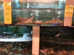水产区-石湖大酒店(桐泾店)