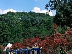-广州市帽峰山景区