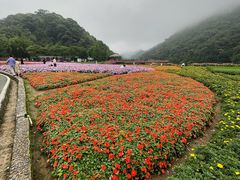 -广州市石门国家森林公园