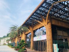 -杭州开元森泊度假乐园