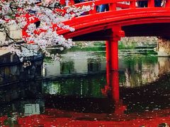 场地-东湖磨山景区樱花园-停车场