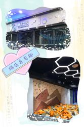 -反弹蹦床公园(南坪万达店)