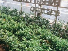 -上海全国土特产食品商场(淮海中路店)